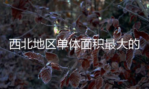 西北项目地区单体的医竣工疗建最大筑陕中二面积附院